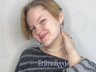 Erlinediggle