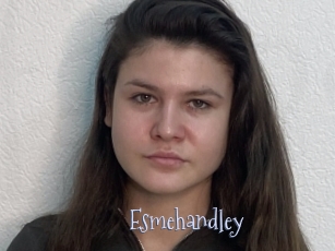 Esmehandley