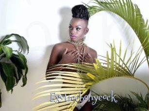 Exoticebonycock