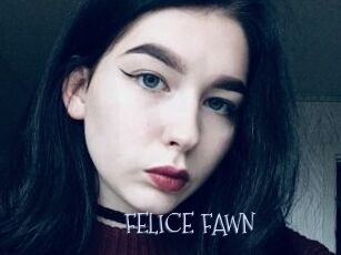 FELICE_FAWN
