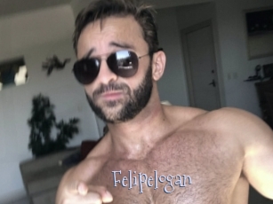 Felipelogan