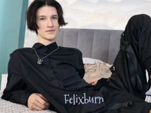 Felixburn