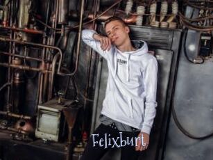 Felixburt