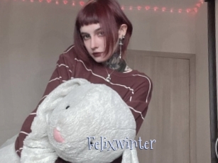 Felixwinter
