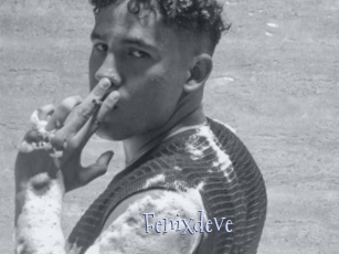 Fenixdeve