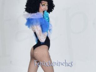 Fenixteninches