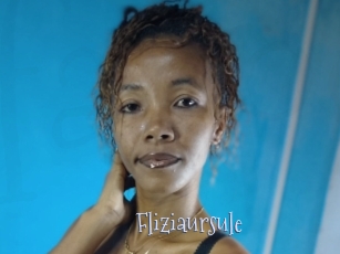 Fliziaursule