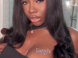 Fung8e