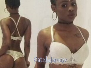 Gatubela_masc