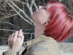 GessNice