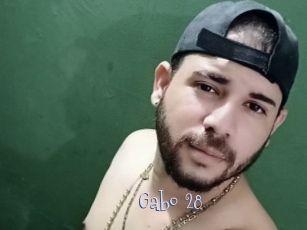 Gabo_28