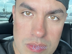 Gatoccc