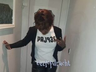 Geefopdracht