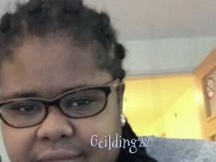 Geilding22