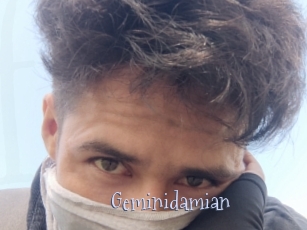 Geminidamian