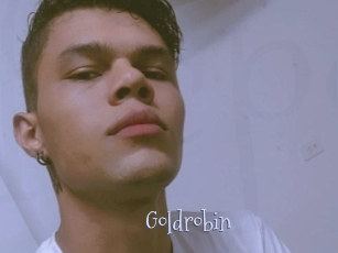 Goldrobin