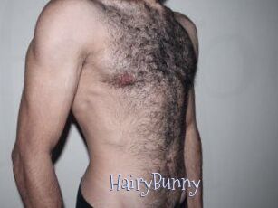 HairyBunny