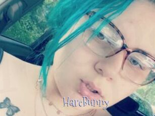 HareBunny