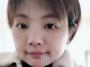 Haringo
