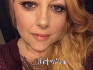 Harlow_Mae