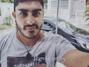Harold_horny