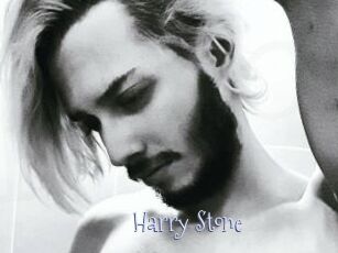 Harry_Stone