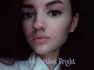 Helianthus_Bright