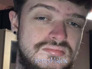 HornyMale96