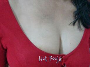Hot_Pooja