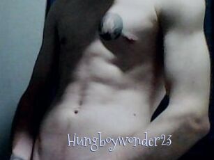 Hungboywonder23