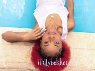 Hallybekker