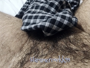 Hammercockk99