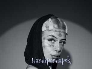 Handipandapok
