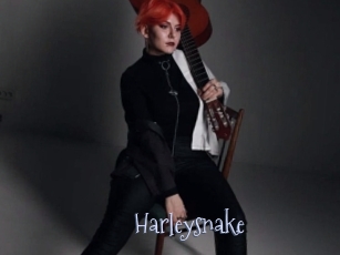 Harleysnake