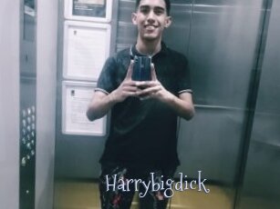 Harrybigdick