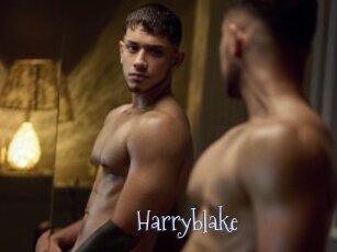 Harryblake