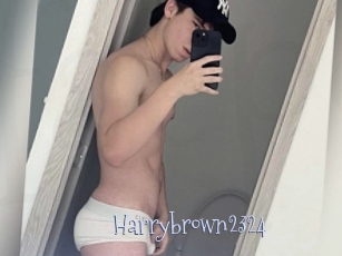Harrybrown2324
