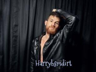 Harrybsmdirt