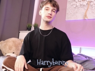 Harrybunny
