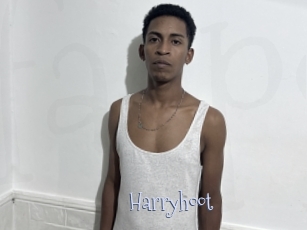 Harryhoot