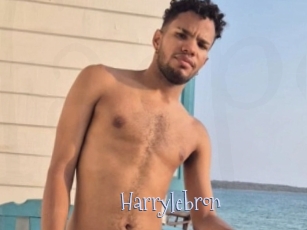Harrylebron