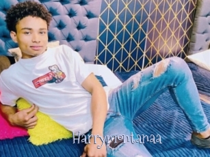 Harrymontanaa