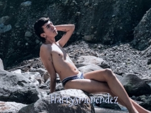 Harrysmenendez
