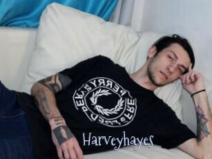 Harveyhayes