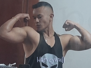 Harveywull