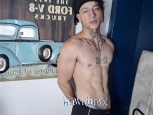 Hawkiinsx