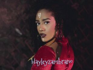 Hayleyzambrano