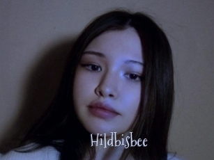 Hildbisbee