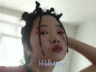 Hildhanney