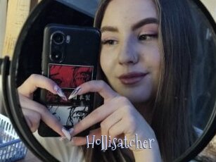 Hollisatcher